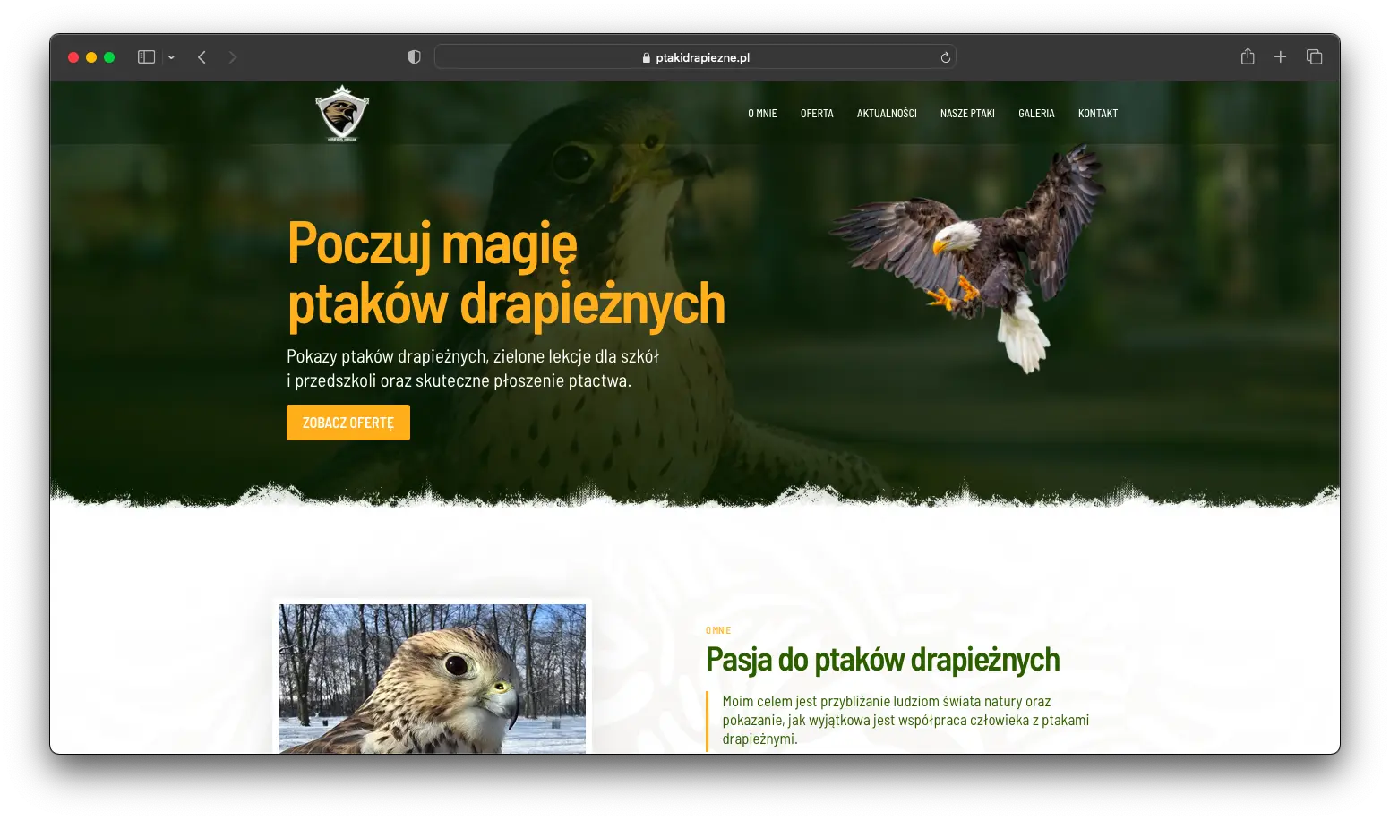 Harris Hawk